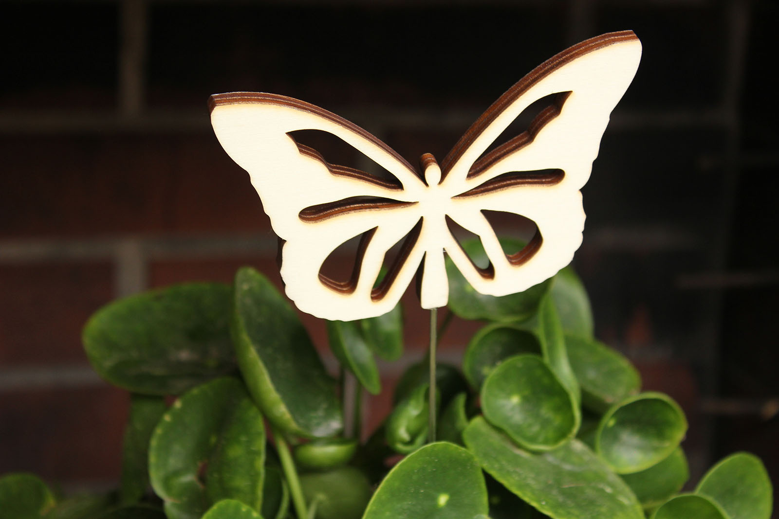 Holzgrusskarten - Pflanzenstecker "Schmetterling" aus Pappelholz